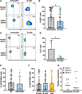 Direct Infection of B Cells by Dengue Virus Modulates B Cell Responses in a Cambodian Pediatric Cohort